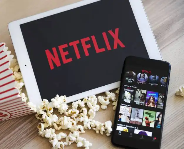 beli akun netflix