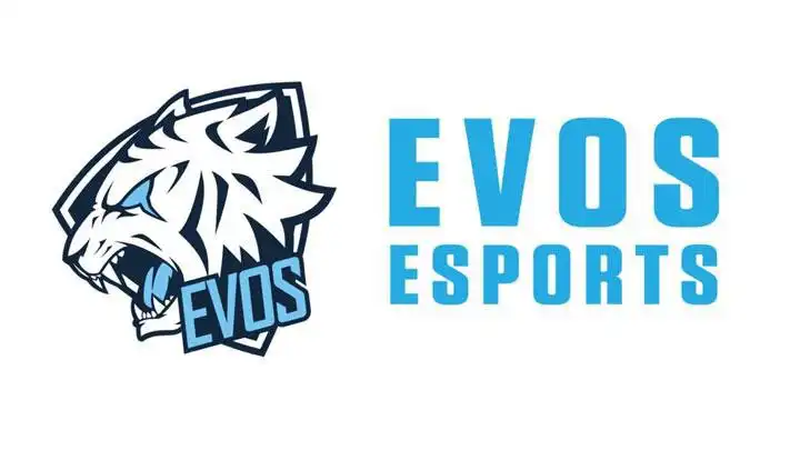 EVOS Esport